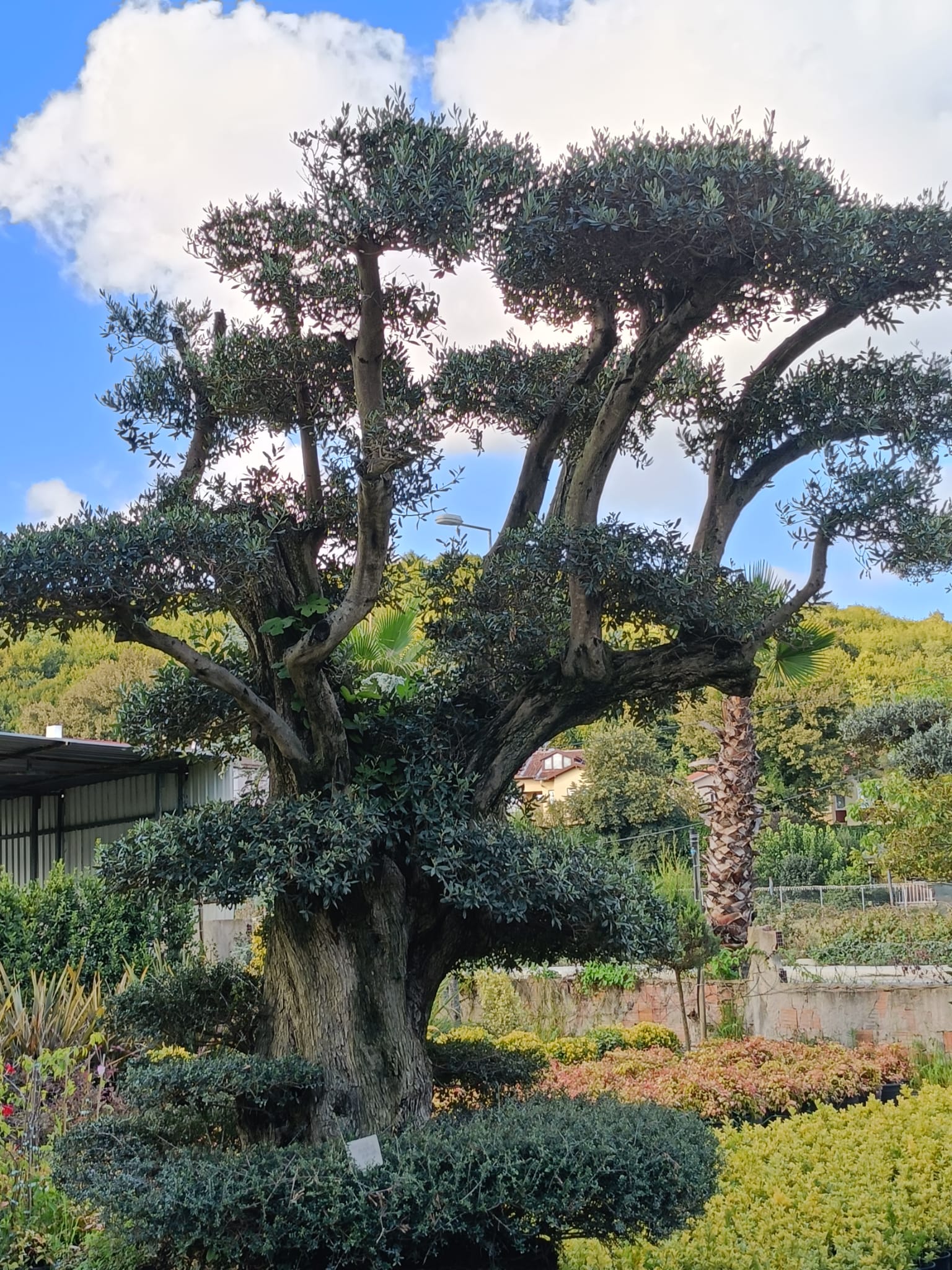Çekmeköy Çevre Düzenleme Peyzaj